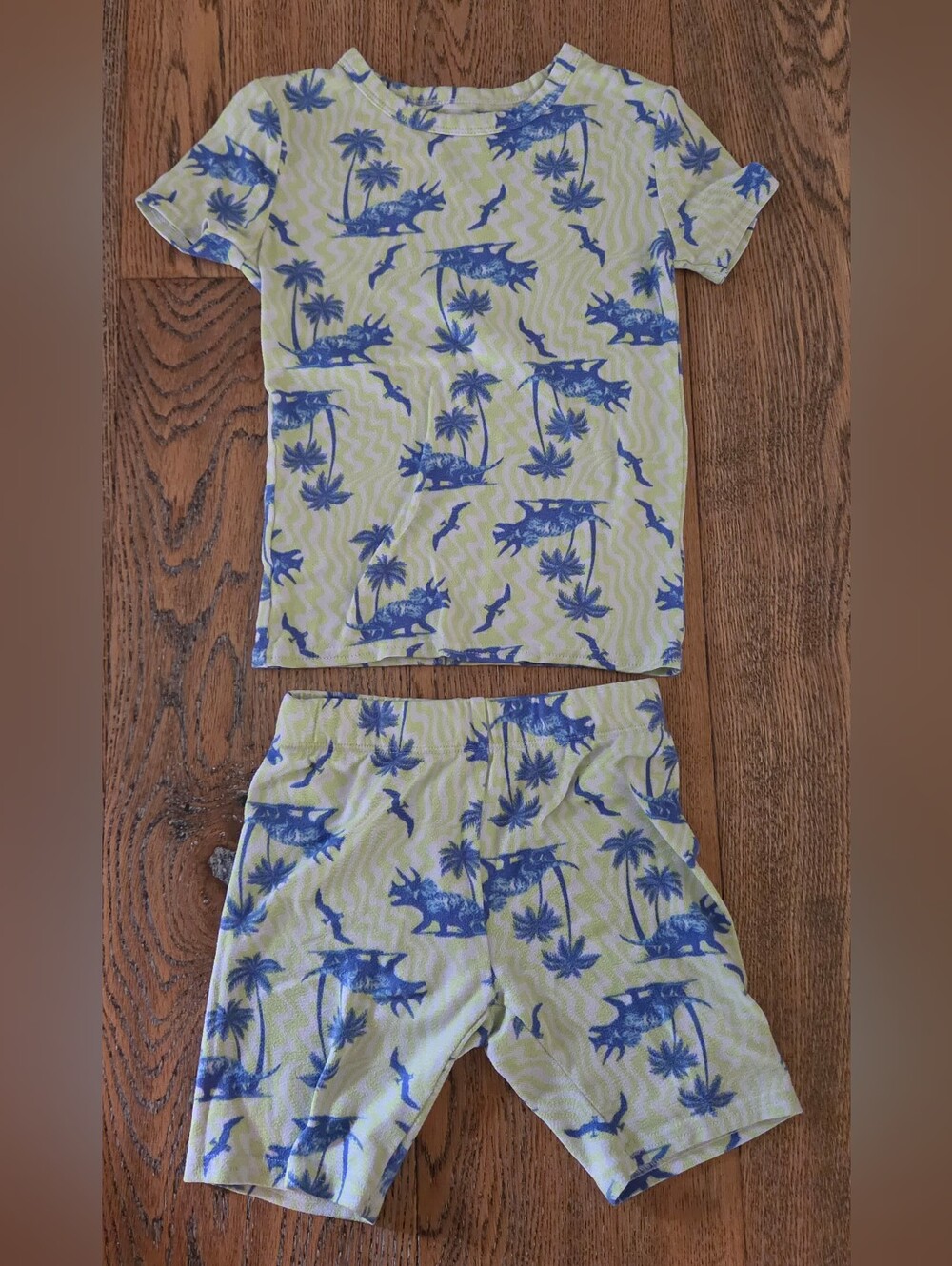 Cat & Jack - Boys - Small (6) - Pajama Set (Top & Bottom) - Polyester- Dinosaur